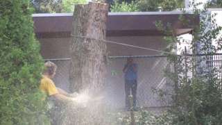 afzagen stam op 100 cm voor kachel hout in maasbool maasdriel kerkdriel best den haag rotterdam utrecht amersfoort